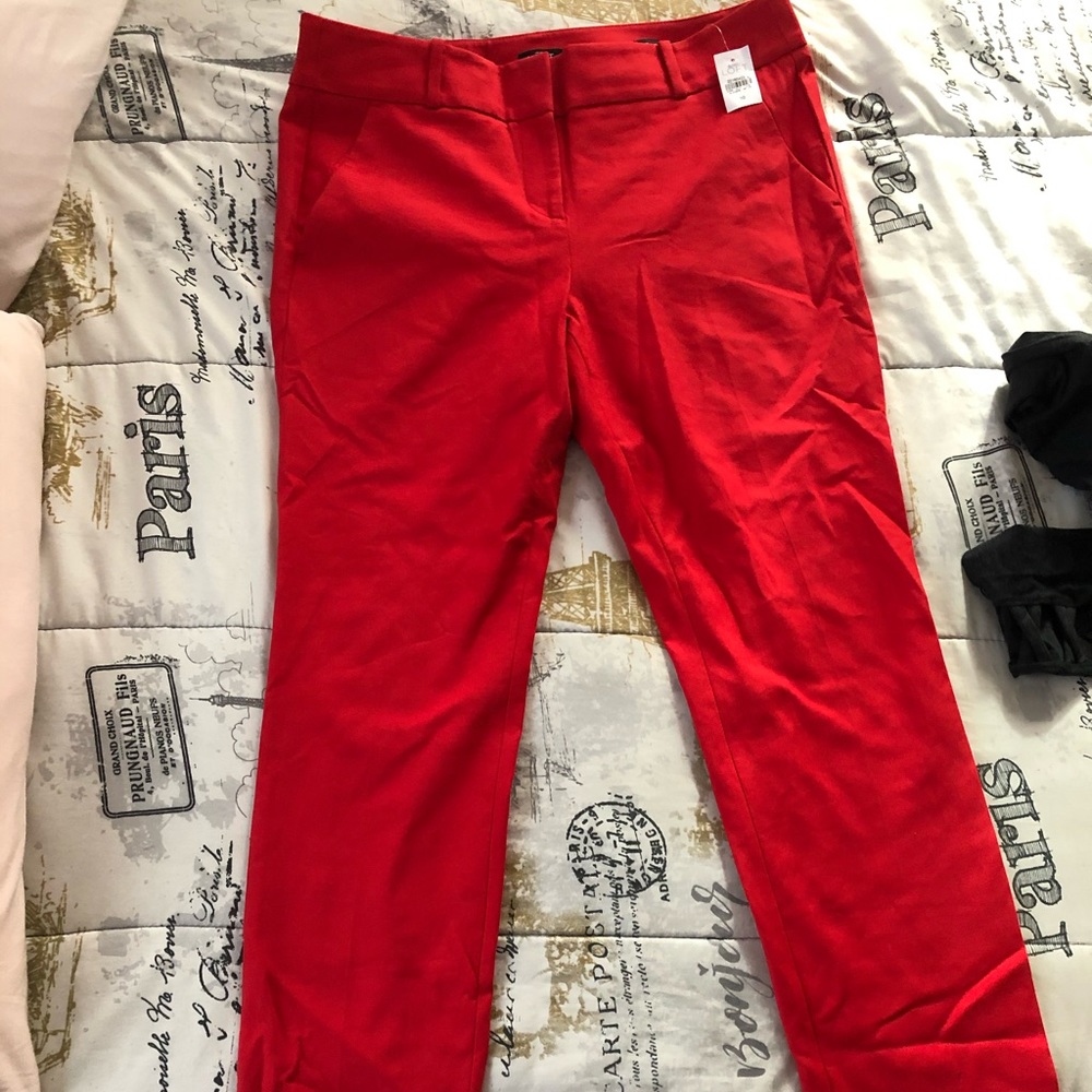Brand new loft brand pants